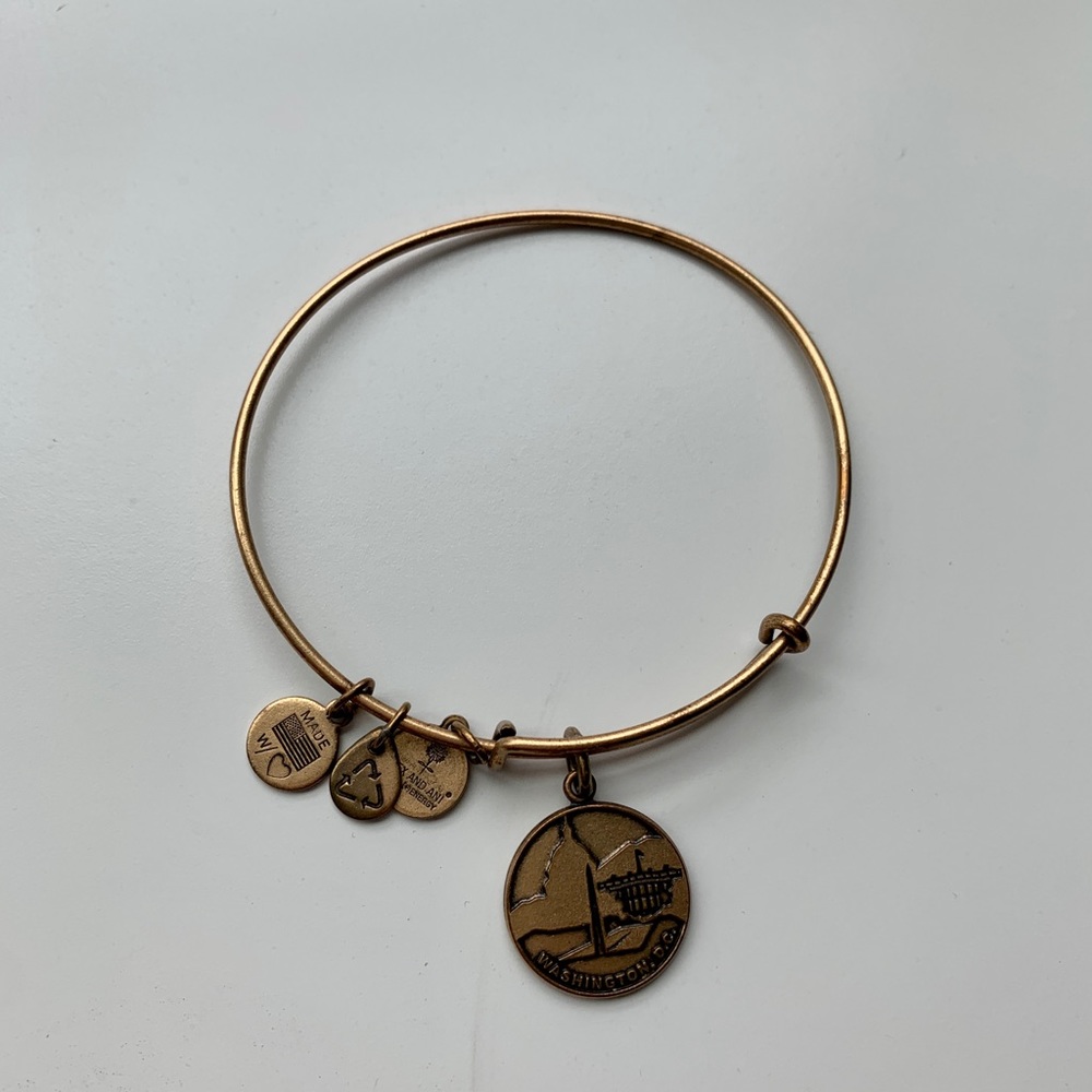 Alex & Ani | Washington, DC Bangle